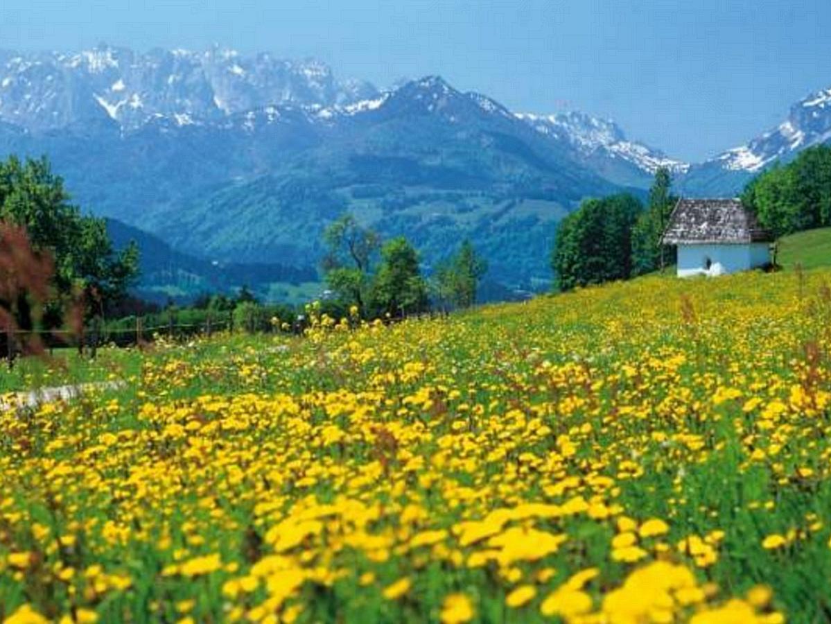 Gaestehaus Flora Reit im Winkl Esterno foto
